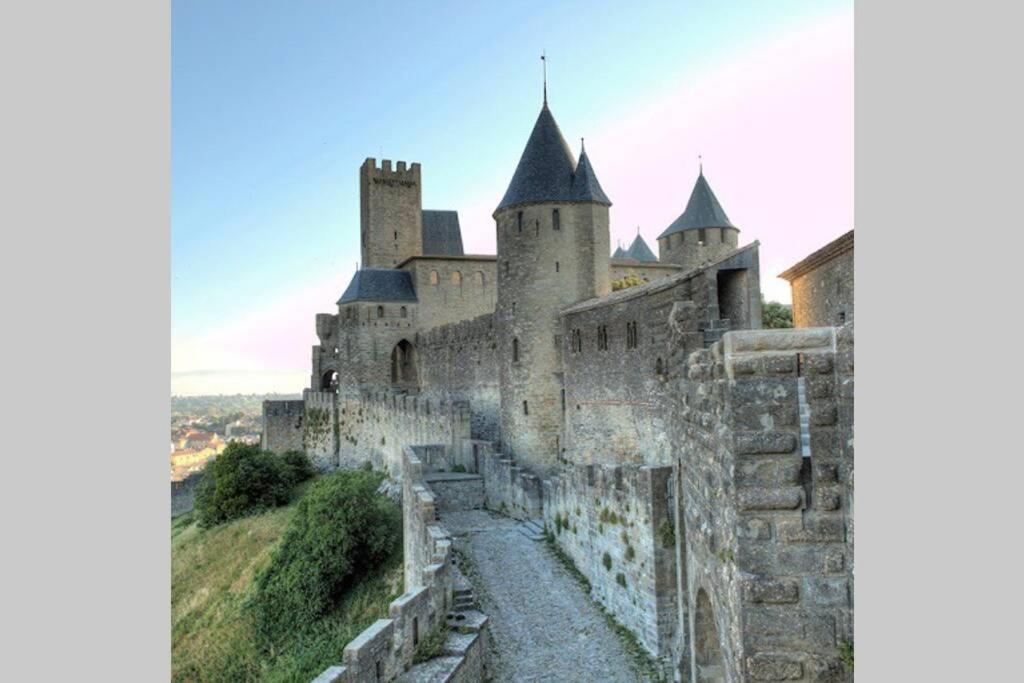 Maison Spacieuse Et Calme Pres De La Cite Vila Alairac Exterior foto